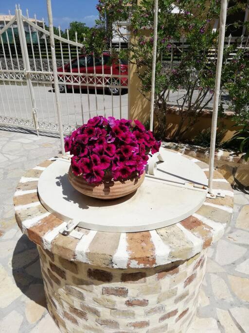 Appartement Sunny Furnished In Kanoni (Corfu)